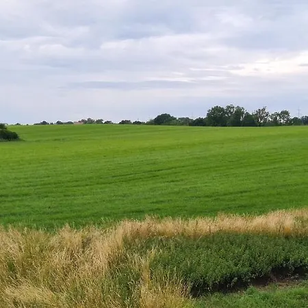 Ganze 2 Raum Rechts Lägenhet Jahnatal
